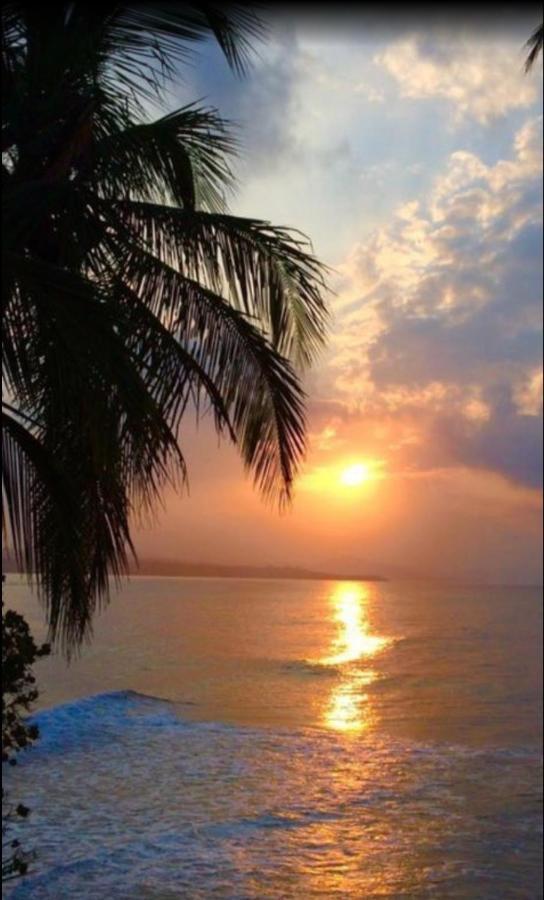 Latitudes 43 *