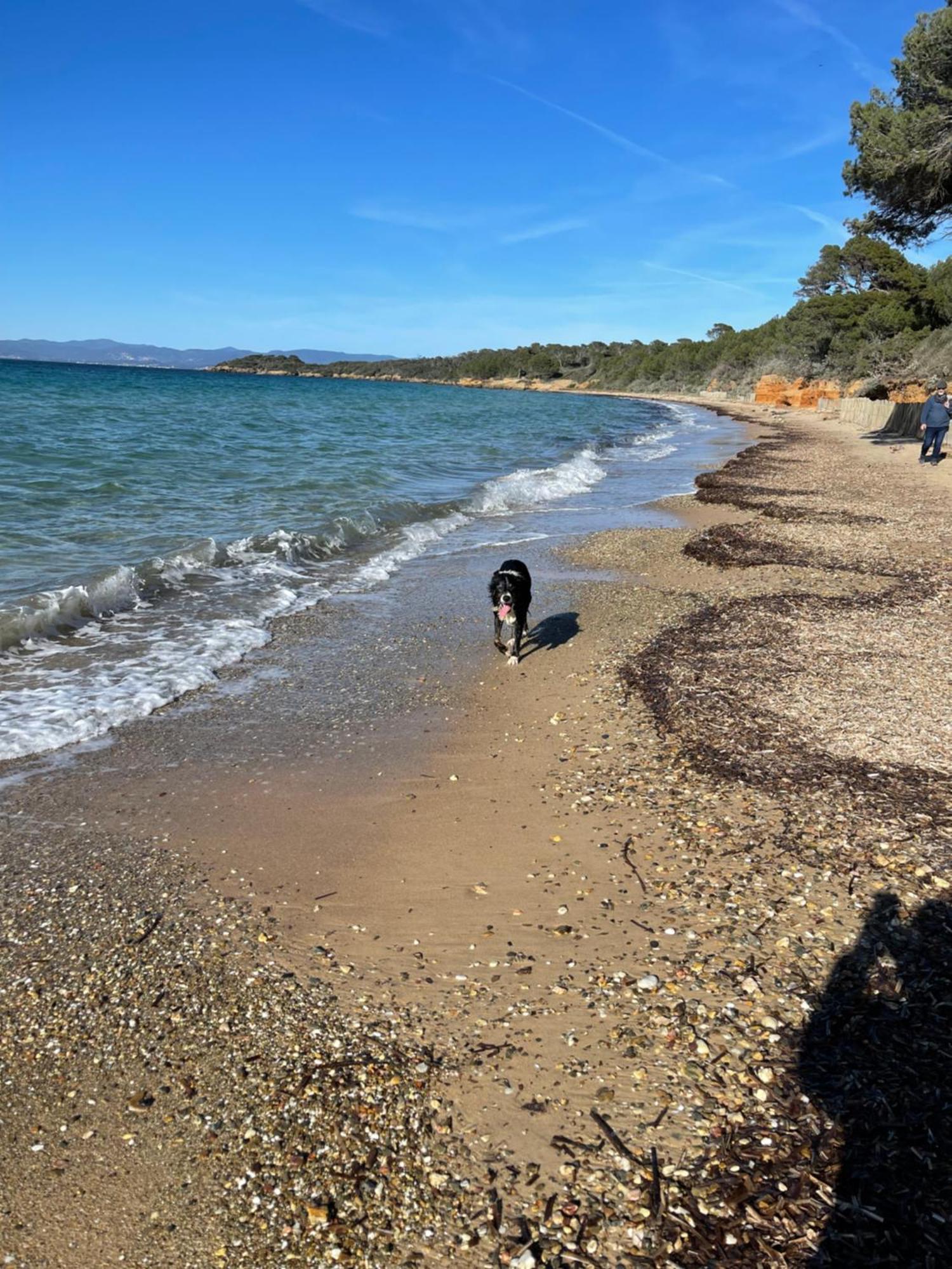 Apartment Latitudes 43 Porquerolles